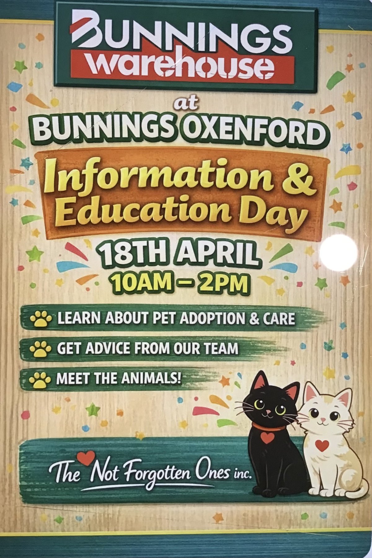 Pet Adoption Day at Bunnings Oxenford
