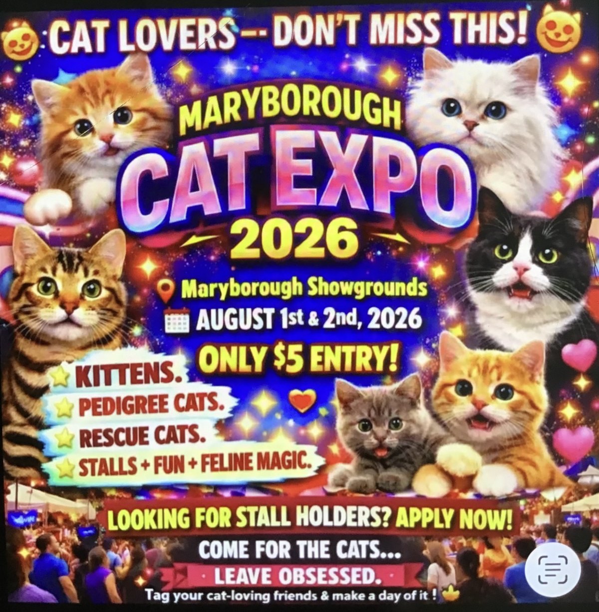 SADLY THIS EVENT HAS BEEN CANCELLED FOR THIS YEAR!!! CAT EXPO MARYBOROUGH SHOWGROUNDS